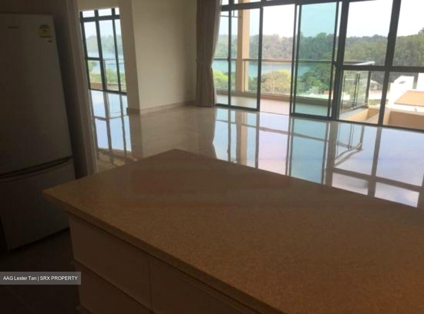 Thomson 800 (D11), Condominium #466003441